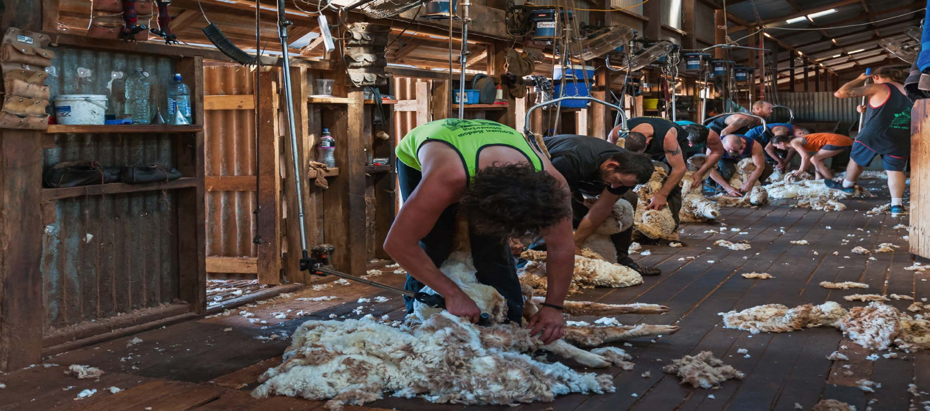 Shearers on the Yudnapinna board.